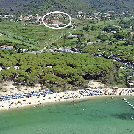 Rosmarino